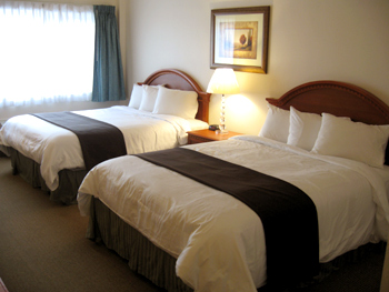 Best Western Inn At The Meadow 004